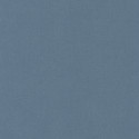 Papier peint Uni Life gris ardoise - SPACES - Caselio - SPA64529368