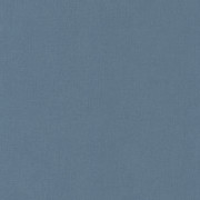 Papier peint Uni Life gris ardoise - SPACES - Caselio - SPA64529368