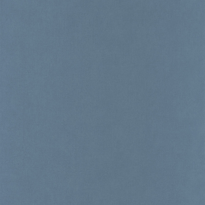Papier peint Uni Life gris ardoise - SPACES - Caselio - SPA64529368
