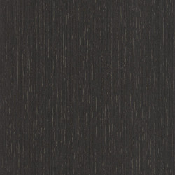 Papier peint Scarlett uni Métallisé anthracite or  - SCARLETT - Caselio - SRL100519280