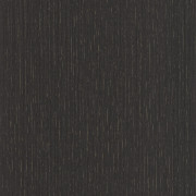 Papier peint Scarlett uni Métallisé anthracite or  - SCARLETT - Caselio - SRL100519280