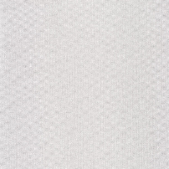Papier peint Uni Natté métallisé gris argent - GREEN LIFE - Caselio - GNL101579090