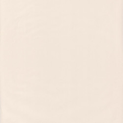 Papier peint Uni beige - JUNGLE - Caselio - JUN69861303