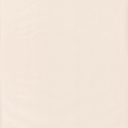 Papier peint Uni beige - JUNGLE - Caselio - JUN69861303