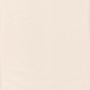 Papier peint Uni beige - JUNGLE - Caselio - JUN69861303