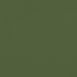 Papier peint Uni vert mousse - JUNGLE - Caselio - JUN69867313