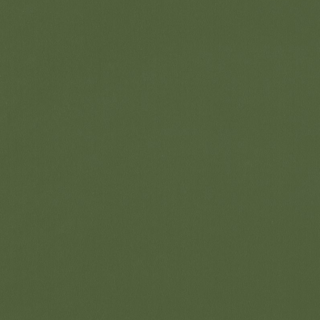 Papier peint Uni vert mousse - JUNGLE - Caselio - JUN69867313