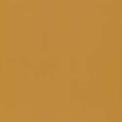 Papier peint Uni orange – JUNGLE - Caselio - JUN69863210