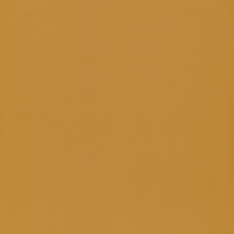 Papier peint Uni orange – JUNGLE - Caselio - JUN69863210