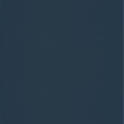 Papier peint Uni bleu nuit - JUNGLE - Caselio - JUN69866705