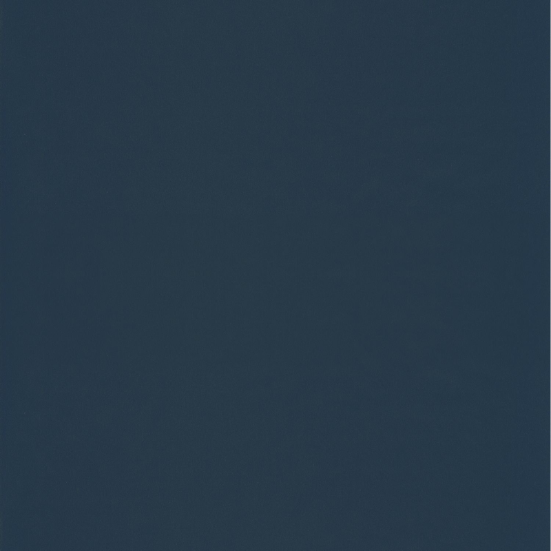 Papier peint Uni bleu nuit - JUNGLE - Caselio - JUN69866705