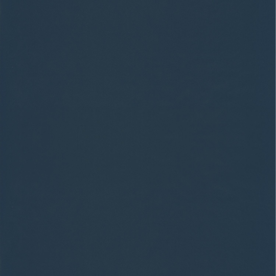 Papier peint Uni bleu nuit - JUNGLE - Caselio - JUN69866705