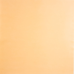 Papier peint Miss Zoe uni orange - PRETTY LILI - Caselio - PRLI58043012