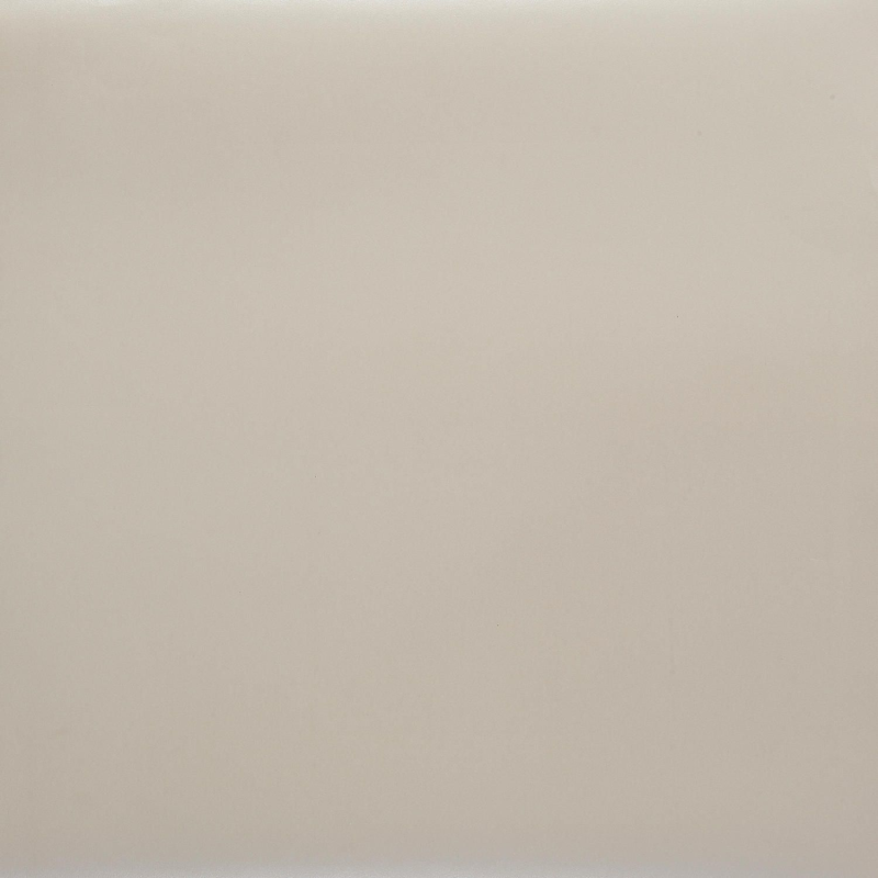 Papier peint Uni blanc irisé - PRETTY LILI - Caselio - PRLI55420101