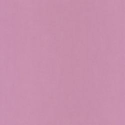 Papier peint Oh La La uni prune - PRETTY LILI - Caselio - PRLI66325302