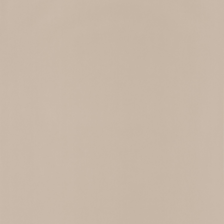 Papier peint Oh La La uni taupe - PRETTY LILI - Caselio - PRLI66321000