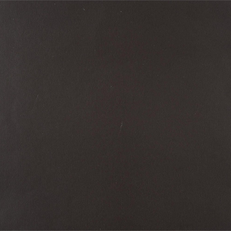 Papier peint Concept Lola noir - PRETTY LILI - Caselio - PRLI57919120