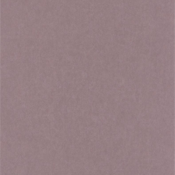 Papier peint Lewis rose - OXFORD - Casadeco - OXFD84074339