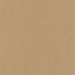 Papier peint Lewis beige - OXFORD - Casadeco - OXFD84071424