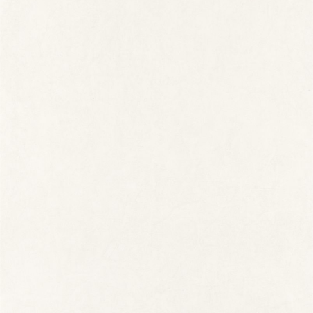 Papier peint Kiosque blanc - OXFORD - Casadeco - OXFD82381141