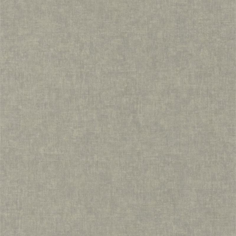 Papier peint William gris -  RIVAGE - Casadeco - RIVG81911554