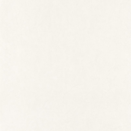 Papier peint Madera blanc - CUBA - Casadeco - CBBA84360039