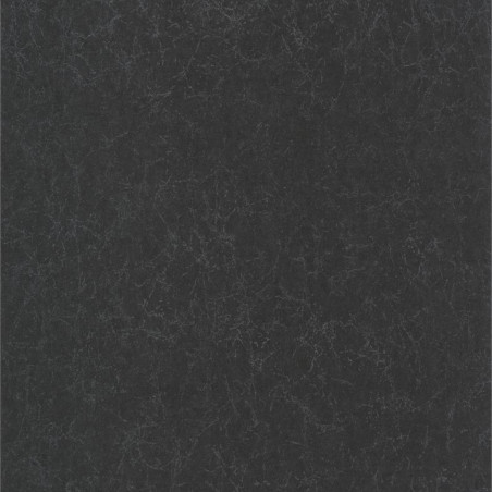 Papier peint Lewis noir - Jardins Suspendus - Casadeco - JDSP84079422