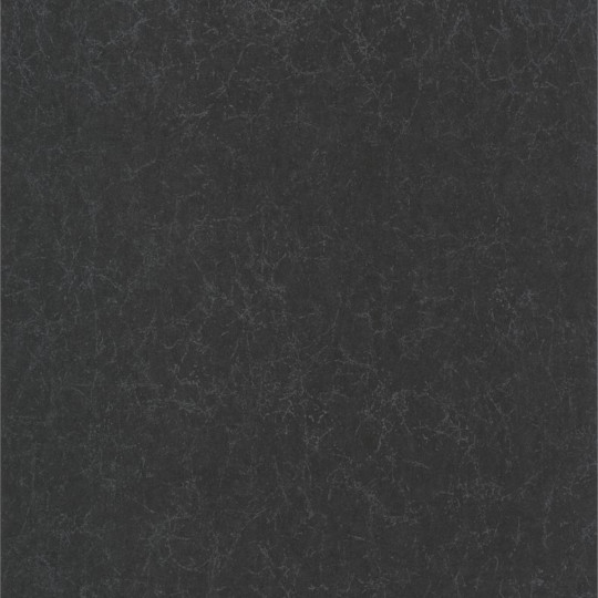Papier peint Lewis noir - Jardins Suspendus - Casadeco - JDSP84079422