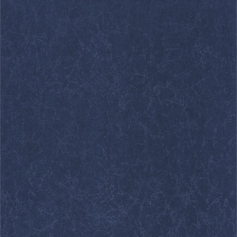 Papier peint Lewis bleu marine - JARDINS SUSPENDUS - Casadeco - JDSP84076534