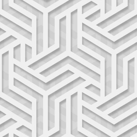 Papier peint Labyrinthe blanc et argent - ONYX - Ugepa - M350-00