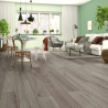 Sol stratifié Chêne Century Gris D4175 PR - Standard Plus SUPERIOR