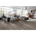 Sol stratifié Chêne Century Gris D4175 PR - Standard Plus SUPERIOR