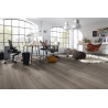 Sol stratifié Chêne Century Gris D4175 PR - Standard Plus SUPERIOR