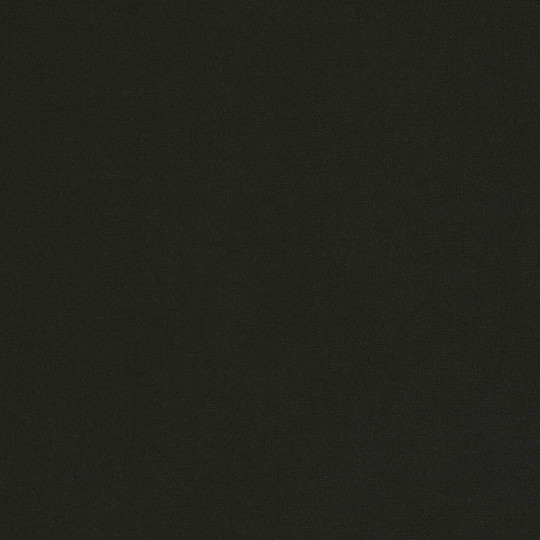Papier peint intissé Life uni noir - NOS GRAVURES - Caselio - NGR64529800