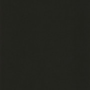 Papier peint intissé Life uni noir - NOS GRAVURES - Caselio - NGR64529800