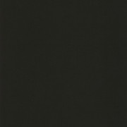 Papier peint intissé Life uni noir - NOS GRAVURES - Caselio - NGR64529800