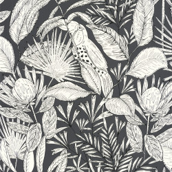 Papier peint intissé Jardin de Bel Air noir - NOS GRAVURES - Caselio - NGR103019039