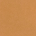 Papier peint intissé Life uni camel - AROUND - Caselio - ARN64522100
