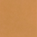 Papier peint intissé Life uni camel - AROUND - Caselio - ARN64522100