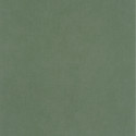 Papier peint intissé Life uni kaki - AROUND - Caselio - ARN64524044