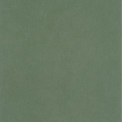 Papier peint intissé Life uni kaki - AROUND - Caselio - ARN64524044