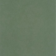 Papier peint intissé Life uni kaki - AROUND - Caselio - ARN64524044