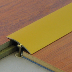 0,93mx41mm - Barre de seuil or invisible multi-niveaux Dinafix - DINAC