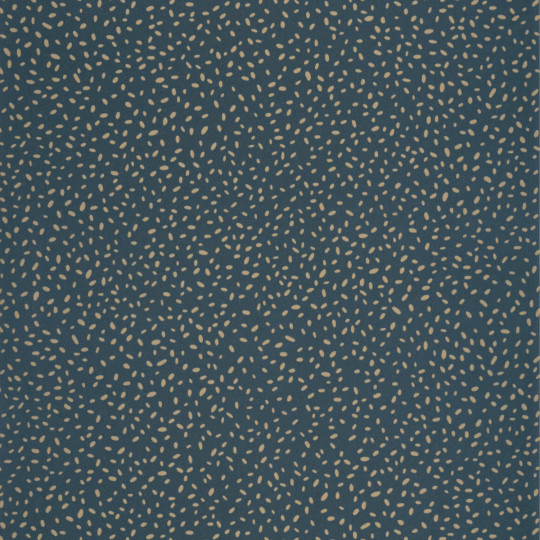 Papier peint intissé Inès bleu nuit et doré - ESSENTIEL - Caselio - ETL103136129