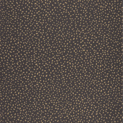 Papier peint intissé Inès noir et doré - ESSENTIEL - Caselio - ETL103139021