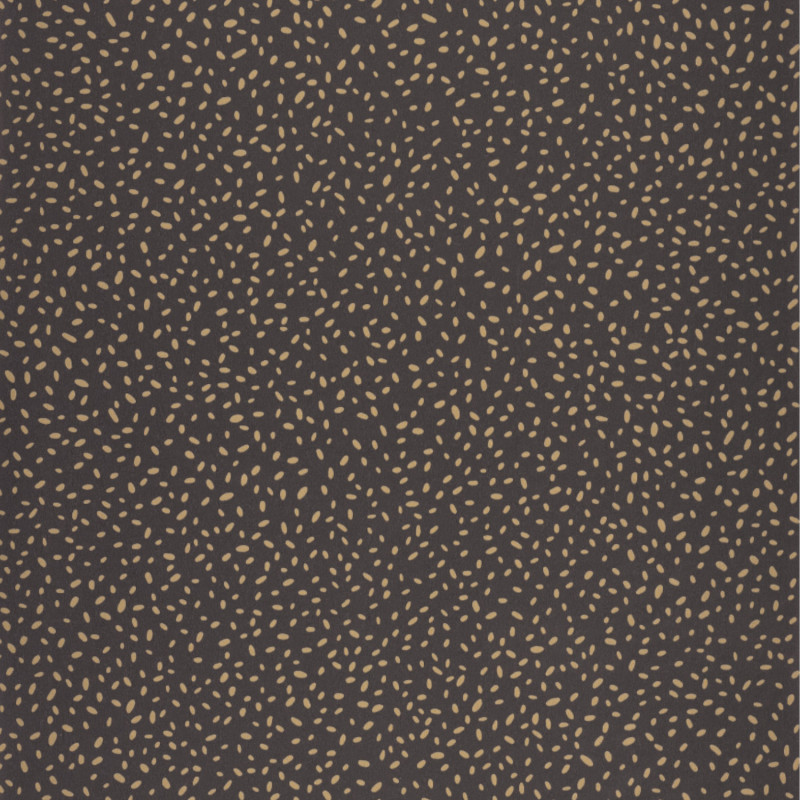 Papier peint intissé Inès noir et doré - ESSENTIEL - Caselio - ETL103139021