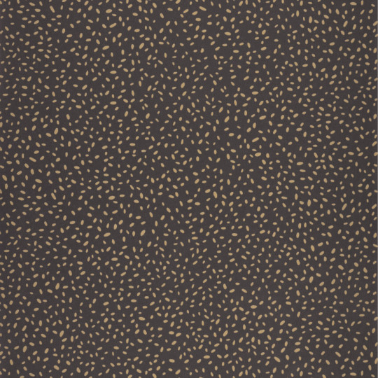 Papier peint intissé Inès noir et doré - ESSENTIEL - Caselio - ETL103139021