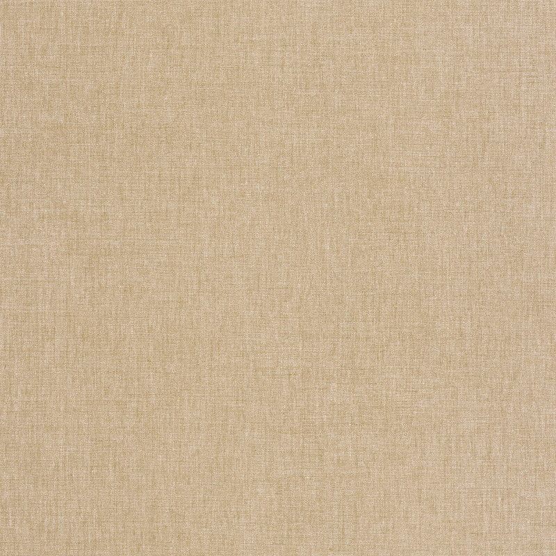 Papier peint intissé Hygge uni blanc or -  LA FORÊT - Caselio - FRT100601520