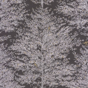 Papier peint intissé Tree Of Life noir et blanc - LA FORÊT - Caselio - FRT102979037