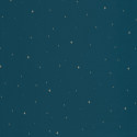 Papier peint intissé Under The Stars bleu nuit - LA FORÊT - Caselio - FRT102966645